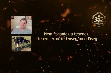 Nem fogantak a tehenek – Tehén terméketlenség – meddőség